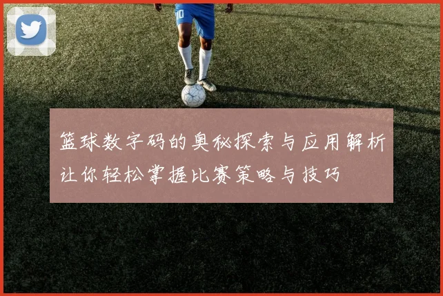 篮球数字码的奥秘探索与应用解析让你轻松掌握比赛策略与技巧