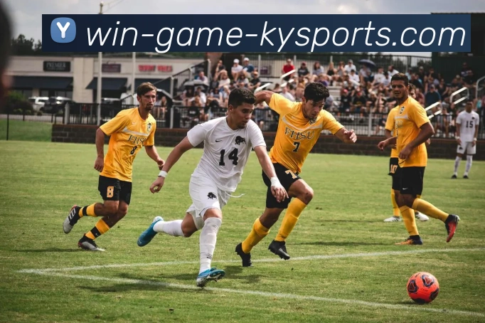 开云体育服务体系